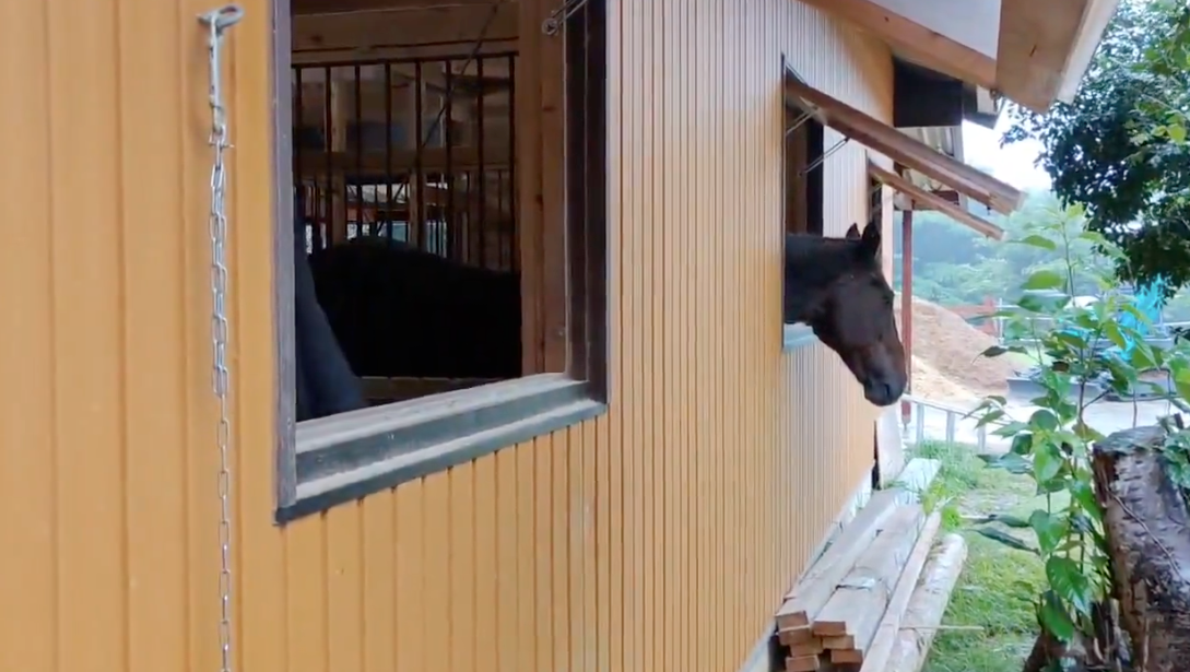 8d8bb78ce3c77978e9a4b2873d9a7031-1761879231.png 8d8bb78ce3c77978e9a4b2873d9a7031-1761879231.png